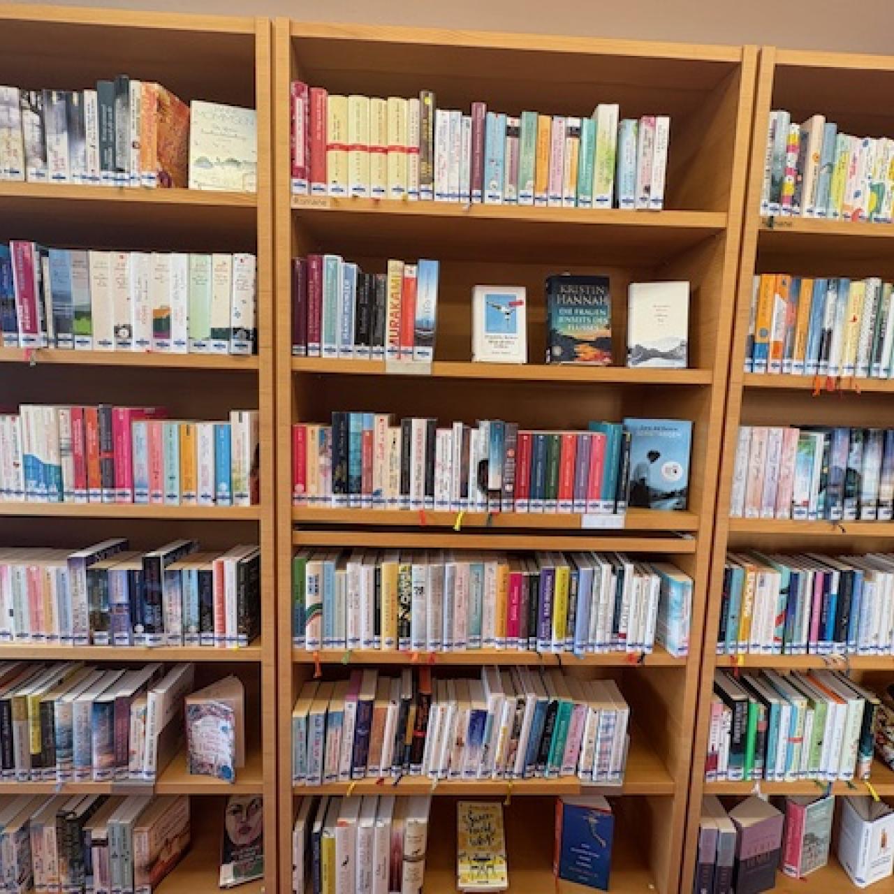 Bücherregal mit Büchern